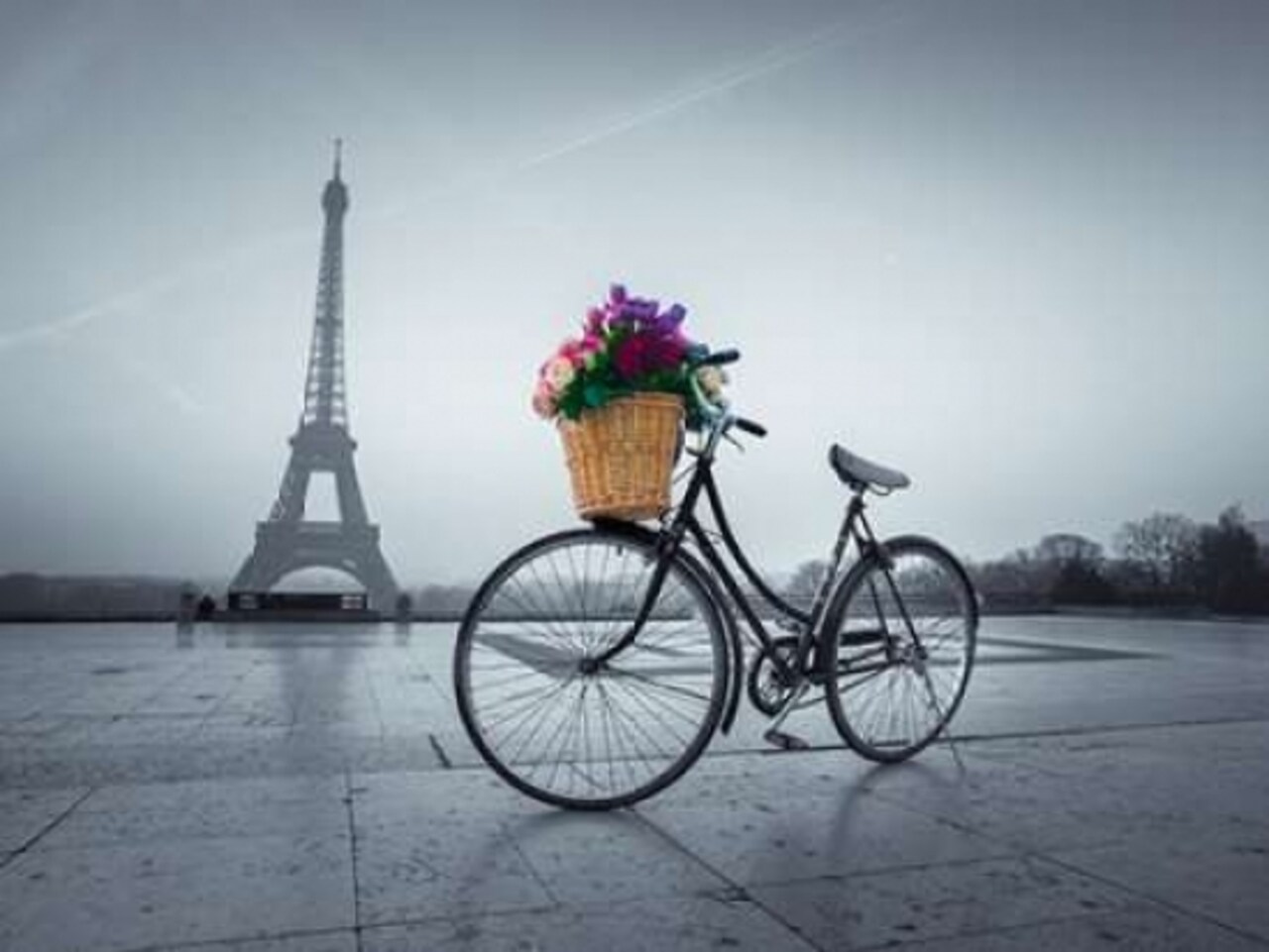 Bicycle with a basket of flowers next to the Eiffel tower, Paris, France Poster Print by Assaf Frank - Item # VARPDXAF201203161103C02